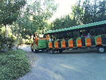 צילום: הדס בן ששון