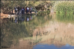 עינות צוקים. צילום: דורון ניסים