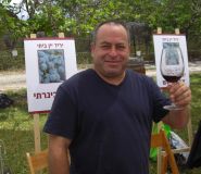 יקב כינרתי