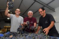 יקב הר אודם, משפחת אלפסי יקב הר אודם, משפחת אלפסי