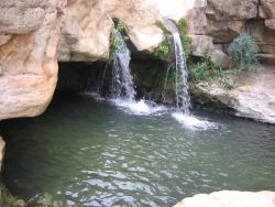 עין פורת