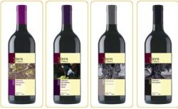 צילום wines-israel