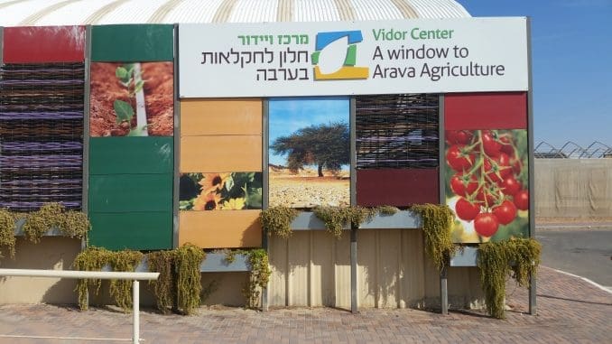חוויה אינטראקטיבית ורב חושית