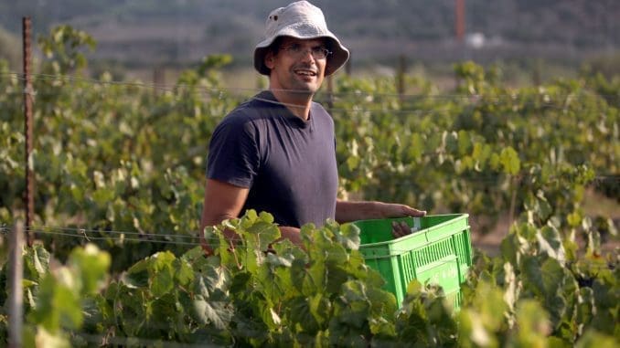 יקב וורטמן מציע בלנד של 60% פטי וורדו, 30% מלבק, 10% קברנה סוביניון, מכרמים נבחרים בעמק שפיה