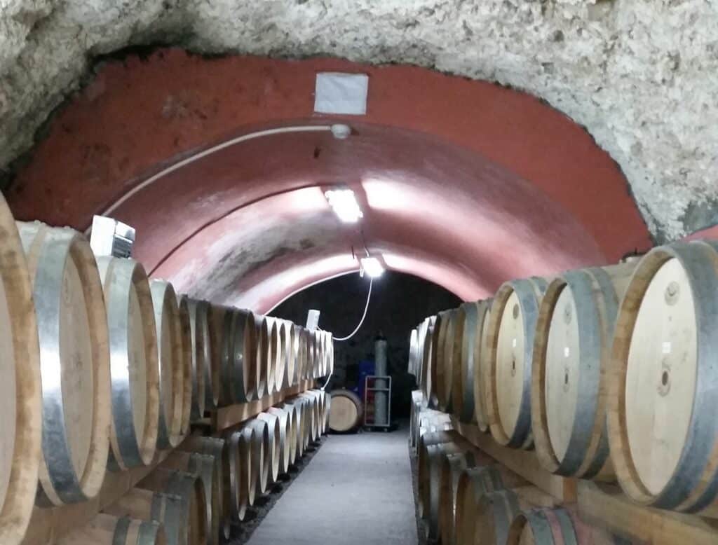 הרבה חביות יין מחכות בתור להידחס לתוך הבקבוקים