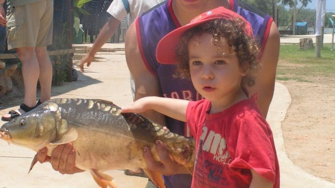 פעילויות מהנות לכל המשפחה