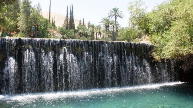 טמפרטורת מים קבועה של 28 מעלות