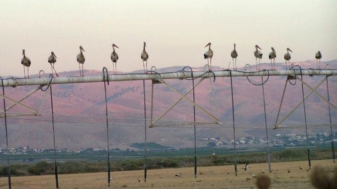 סיורים מודרכים בימי החג וחול המועד, בבוקר ובערב