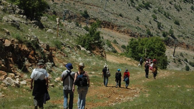 אפשרויות בילוי לכל המשפחה במזג אויר נעים וקריר וכמה פיסות שלג אחרון