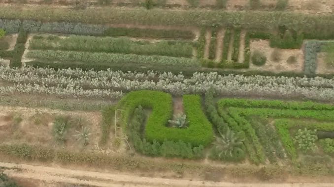 מבוך של תבלינים ובשמים באורך 1,600 מטר המשתרע על פני 4 דונם