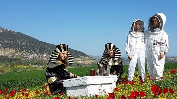 סיור לכל המשפחה החושף את אחד הסודות הגדולים של תהליך החניטה של המומיות במצרים
