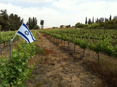 הכרם של מקס הרצברג חוגג עצמאות. האם הוא ימשיך לעשות יין?