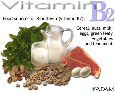 ויטמין B2 נלחם ברדיקלים חופשיים, משתתף בתהליכי ייצור אנרגיה ובהתפתחות תקינה של תאי דם אדומים