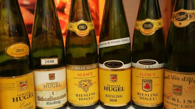 Hugel Riesling Shoelhammer 2008 – יין עם הרבה עומק, שיש לו שנים של חיים קדימה