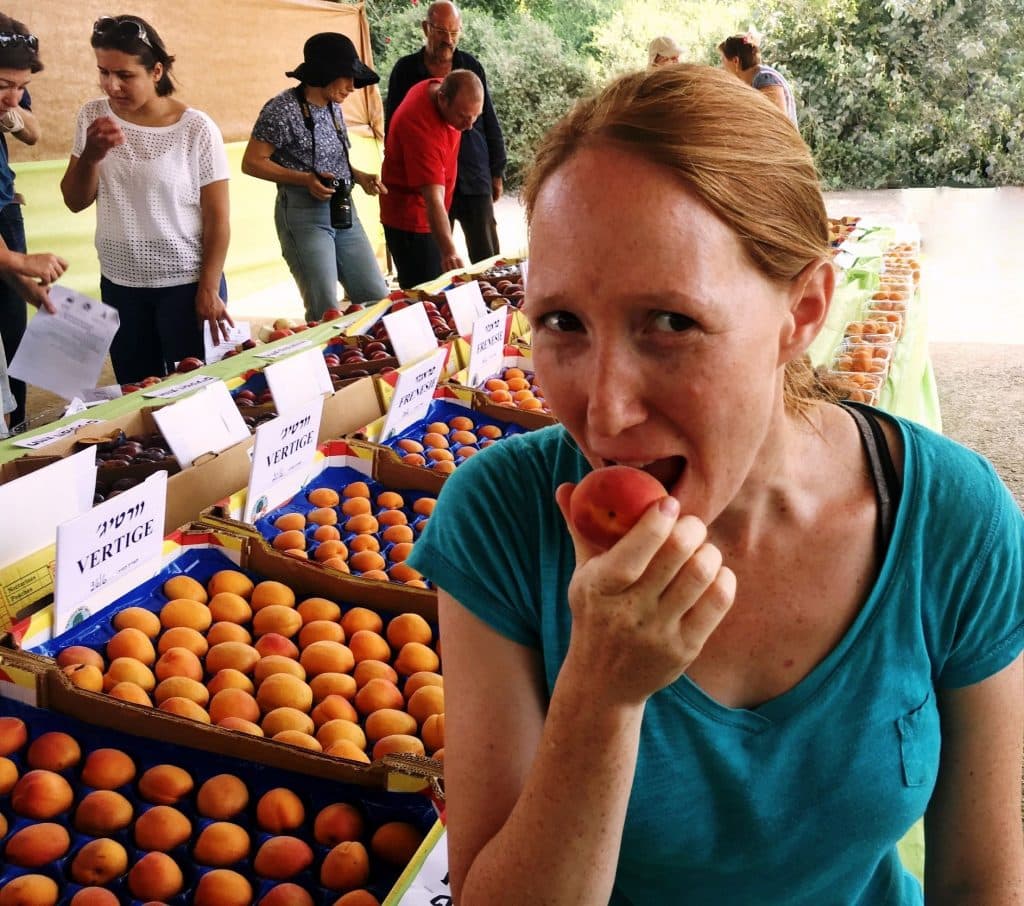 זנים רבים נוספים יאריכו את עונת המשמש לארבעה חודשים