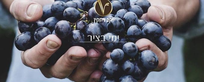 זו אחת האלטרנטיבות המשובחות ליין שרדונה