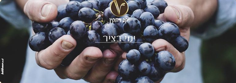 זו אחת האלטרנטיבות המשובחות ליין שרדונה