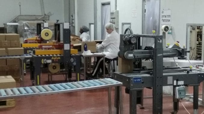 החברה מייצאת לארצות הברית, אנגליה, רוסיה, אוקראינה, דנמרק, ומדינות נוספות