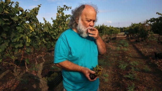 אי אפשר להישאר אדיש אל זאב ואל יינותיו. או שאוהבים או שלא. צילום דוד סילברמן dpsimages