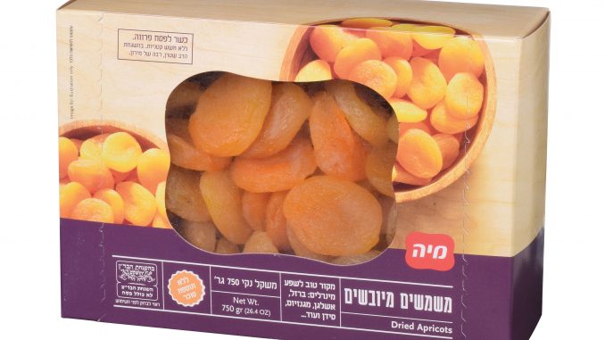 )צילום אבי לוי(