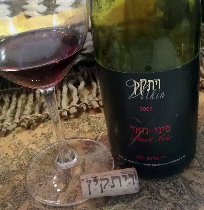 ויתקין פינו נואר 2003 - לבוגרי BA-MA של פינו נואר בלבד. צילום ישראל פרקר