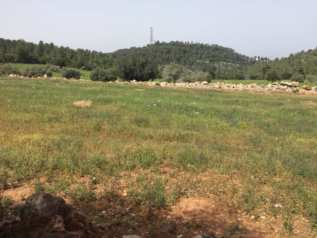 פוטנציאל הרחבת הנטיעות. אפשר להגיע ל- 150,000 בקבוקים. מסתפקים ב- 100,000 כד לשמור על האיכות