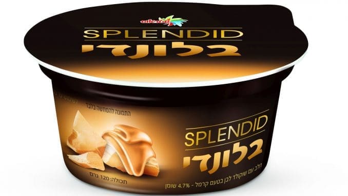 צילום סטודיו שטראוס