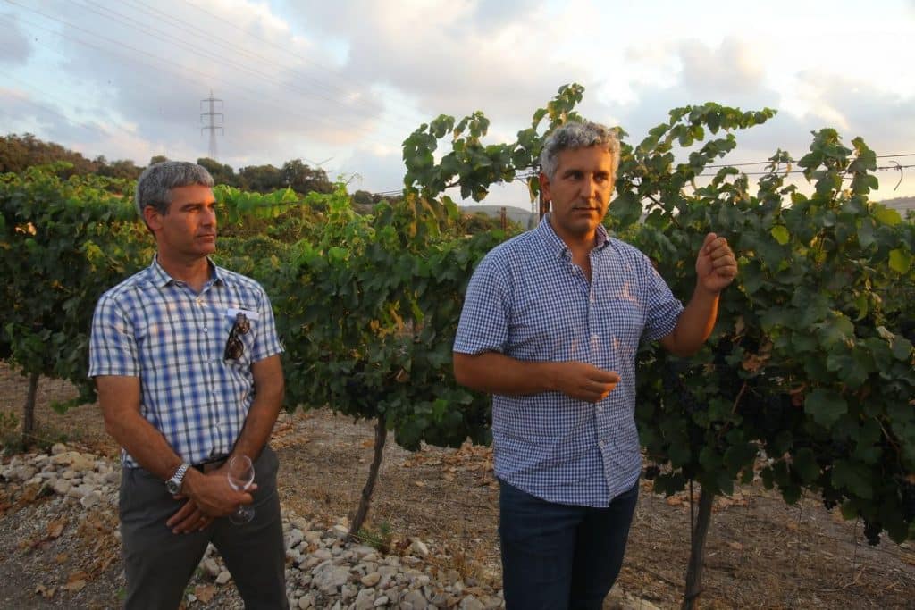 נדב ארנס מנכ"ל יקב כרמל (משמאל) ויפתח פרץ היינן הראשי. צילום דוד סילברמן dpsimages