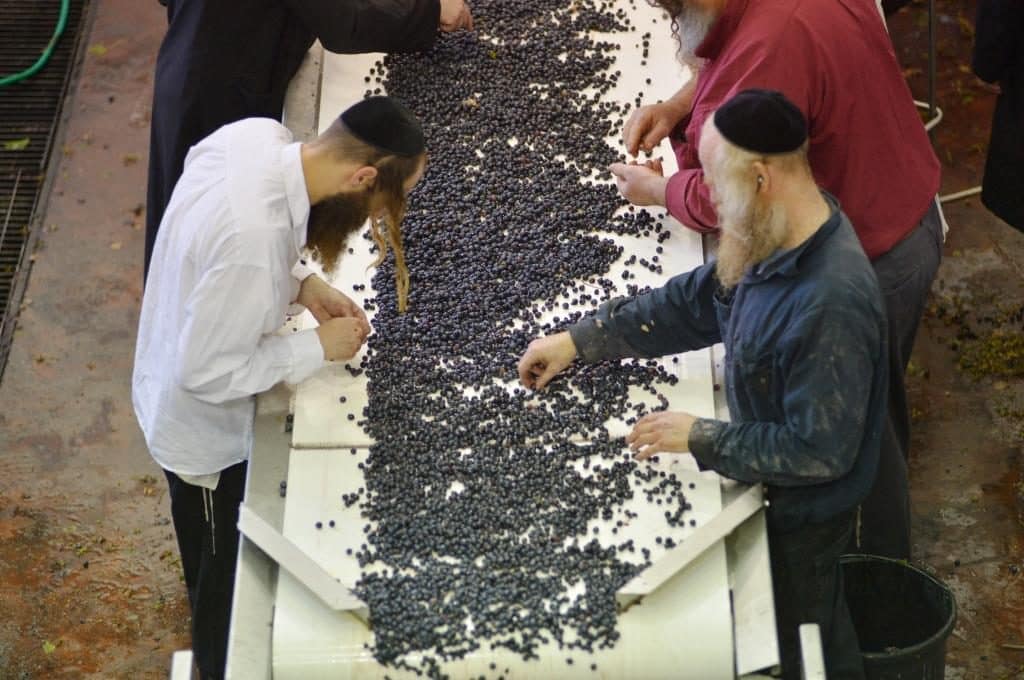 יקב אור הגנוז. צילום מהאתר