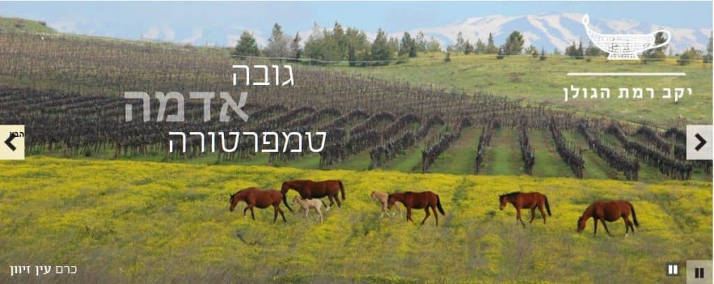 הגדרת טרואר ביקב רמת הגולן. צילום מהאתר