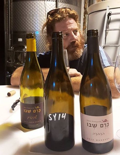 גבי סדן כרם שבו. צילום עמרי יצחק