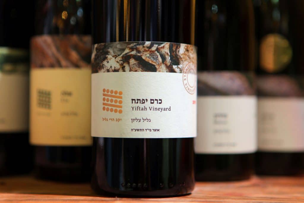 צילום דוד סילברמן dpsimages