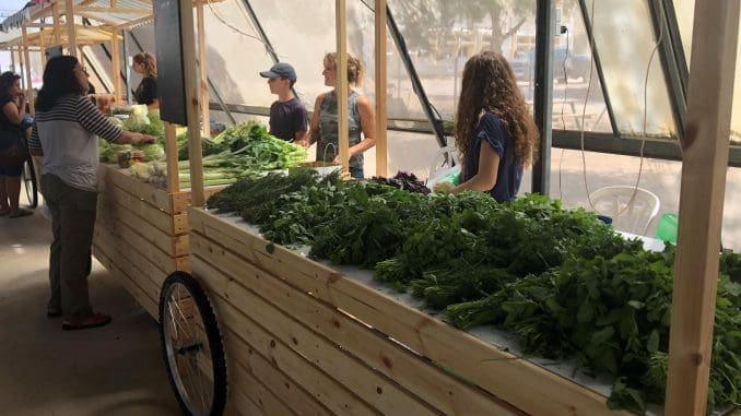 אשכול Market ממוקם בתוך חממה מעוצבת. צילום דוברות אשכול