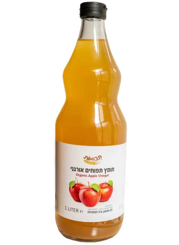 צילום אלי חזן
