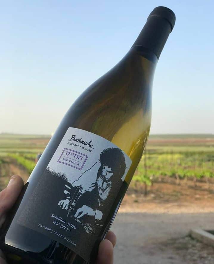 צילום אלי בקוש