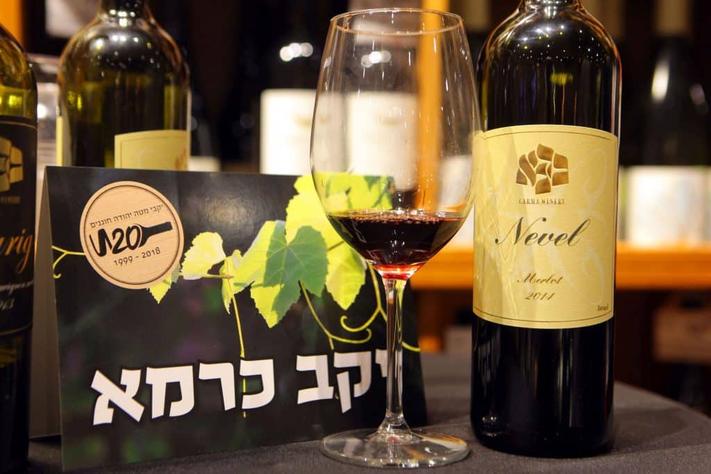 צילום דוד סילברמן dpsimages