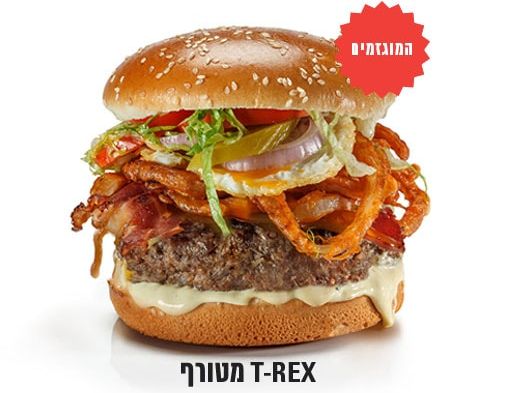 צילום יורם אשהיים