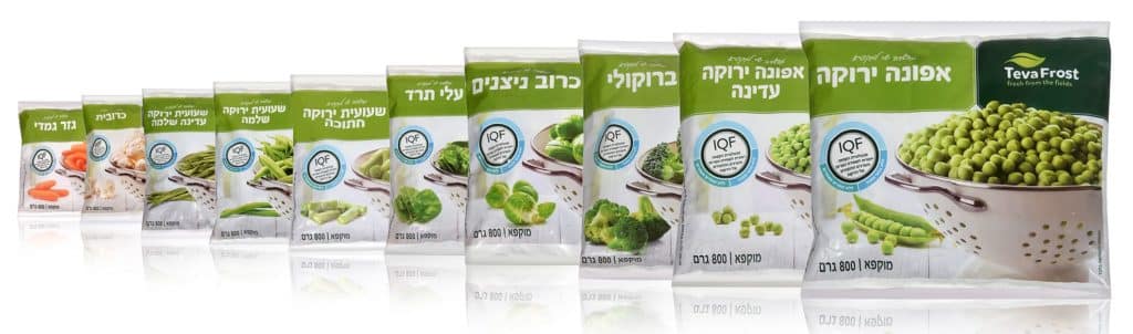 צילום אסף לוי