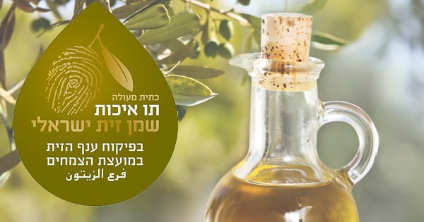 צילום מאתר ענף הזית