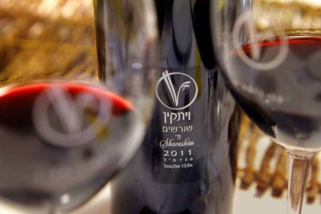 צילום דוד סילברמן dpsimages
