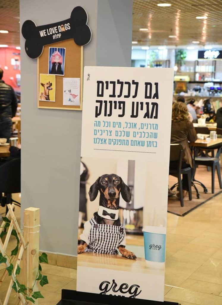 צילום אלעד גוטמן