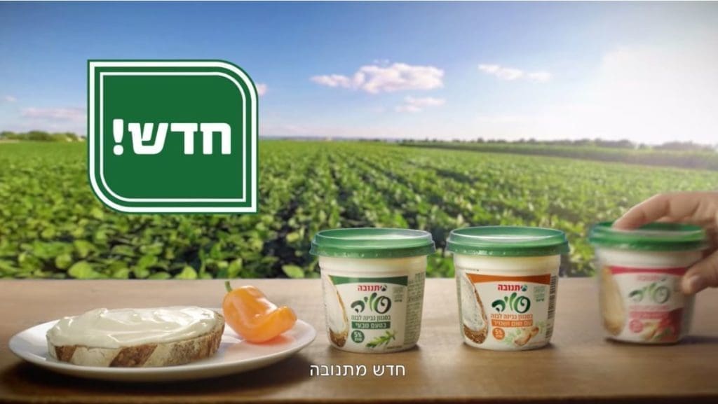 צילום מיוטיוב
