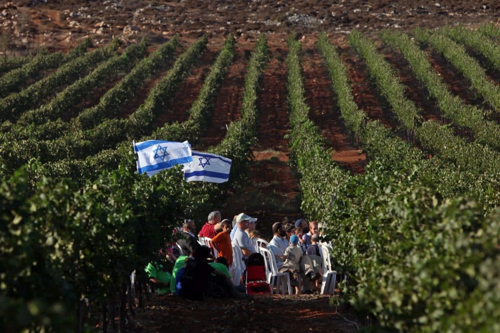 צילום בכרם אחיה בשומרון דוד סילברמן dpsimages