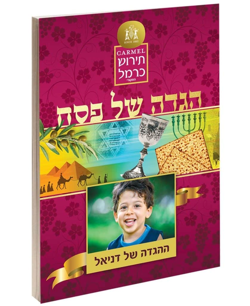 צילום דני דין