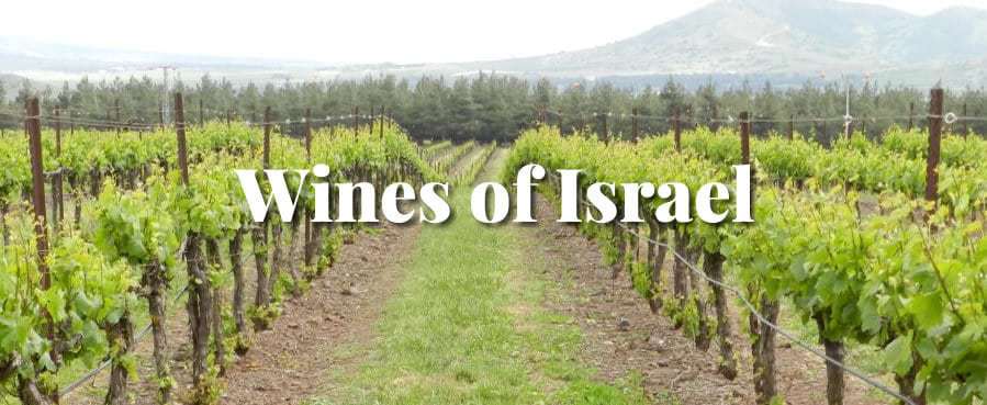 צילום Wine School of Philadelphia
