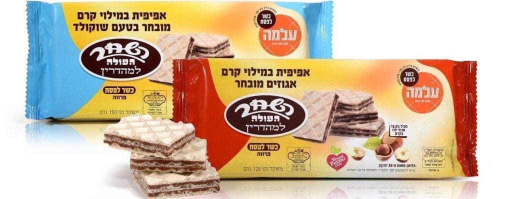 צילום אפרת אשל