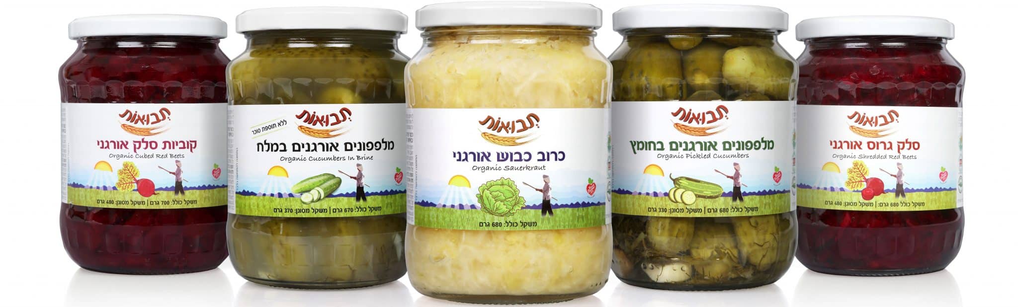 צילום חיים אמזלג