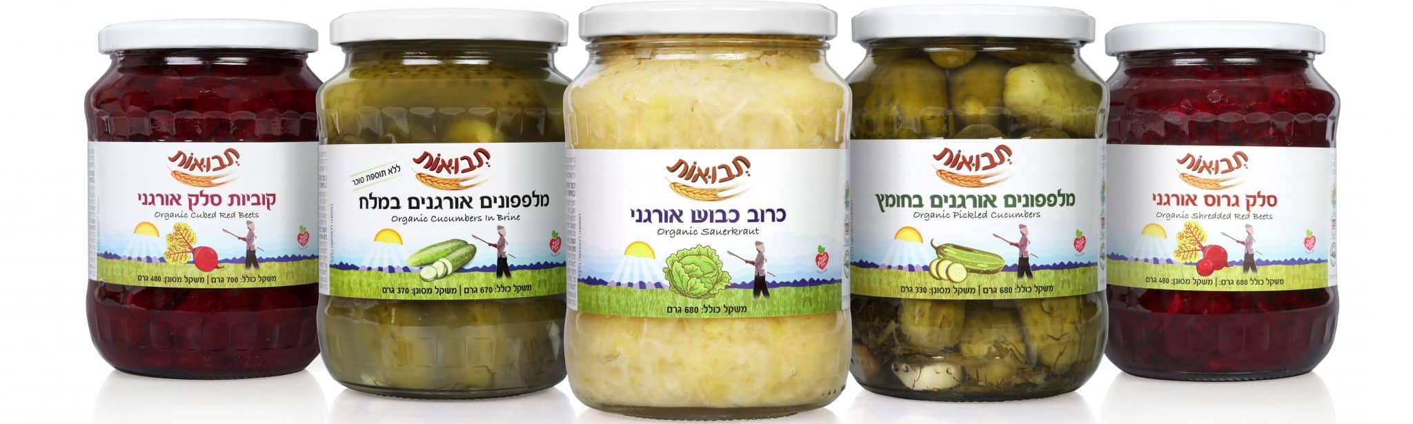 צילום חיים אמזלג