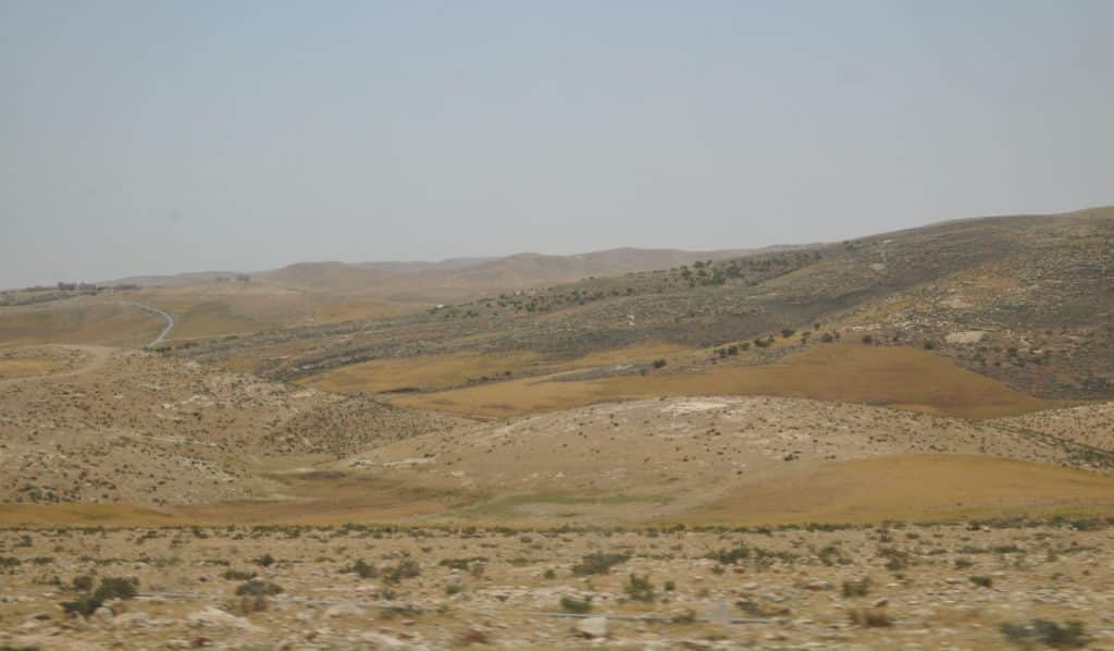 זה המדבר. צילום איריס לוי