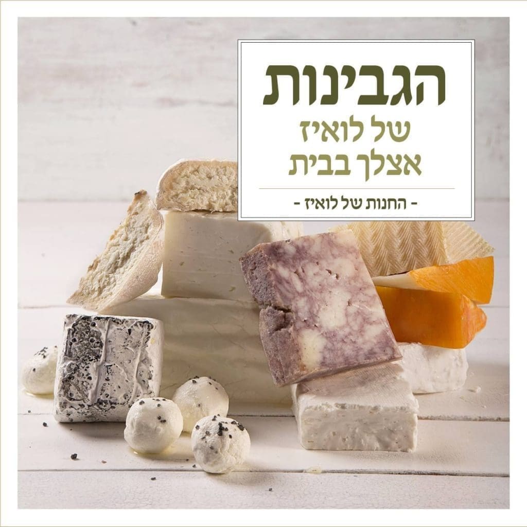 צילום שרית גופן